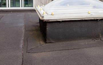 disadvantages of Priestcliffe Ditch flat roofs
